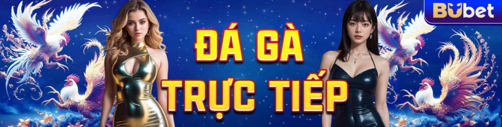 Đá Gà Trực Tiếp